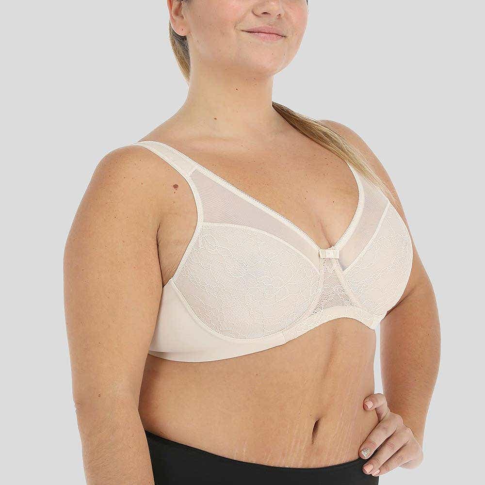 https://www.catalogoflores.cl/media/catalog/product/1/2/1297120champaa_2_cpyuiyugbe0lcp6y_jireymyclmhdb5rj.jpg