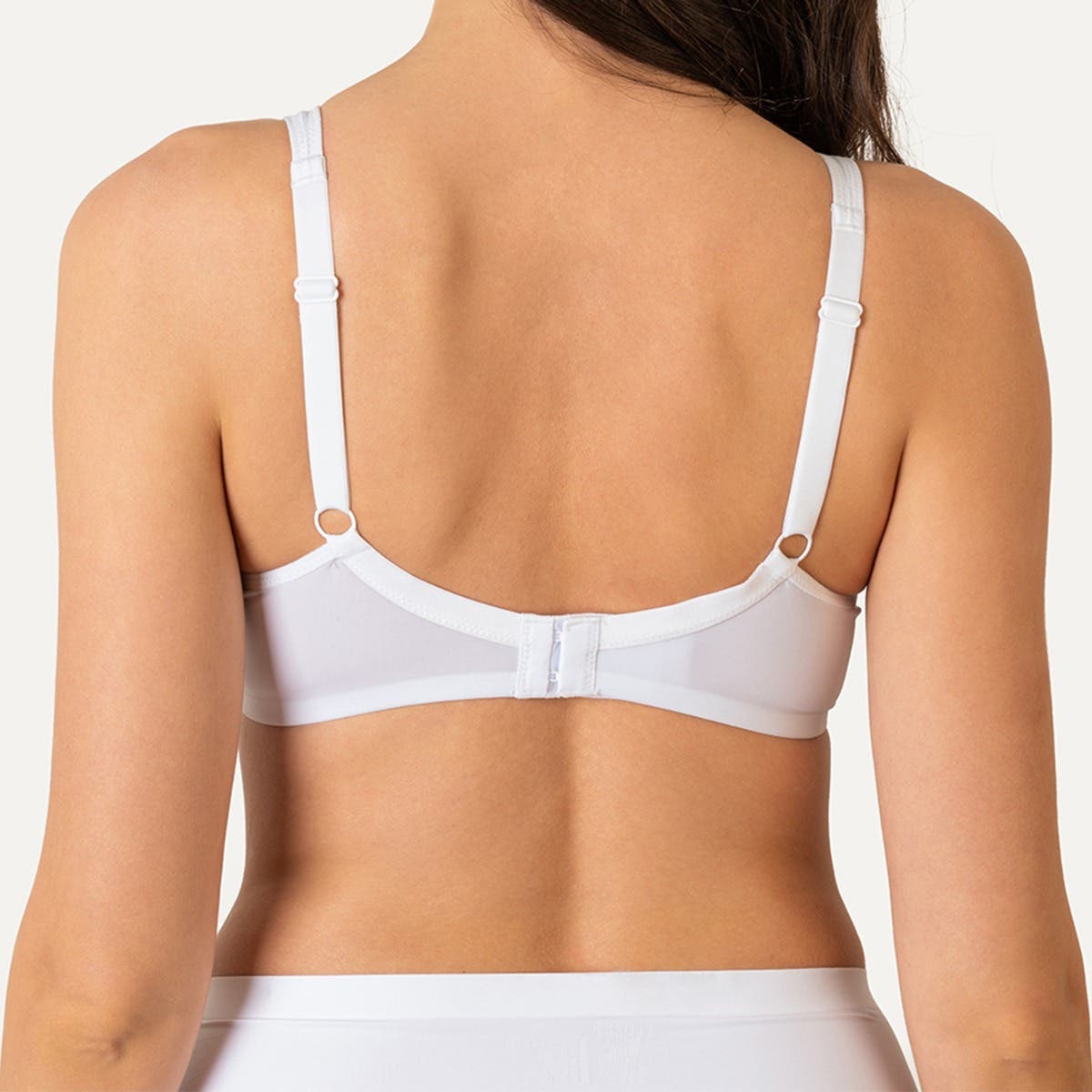 https://www.catalogoflores.cl/media/catalog/product/1/3/13064-1_2_1.jpg