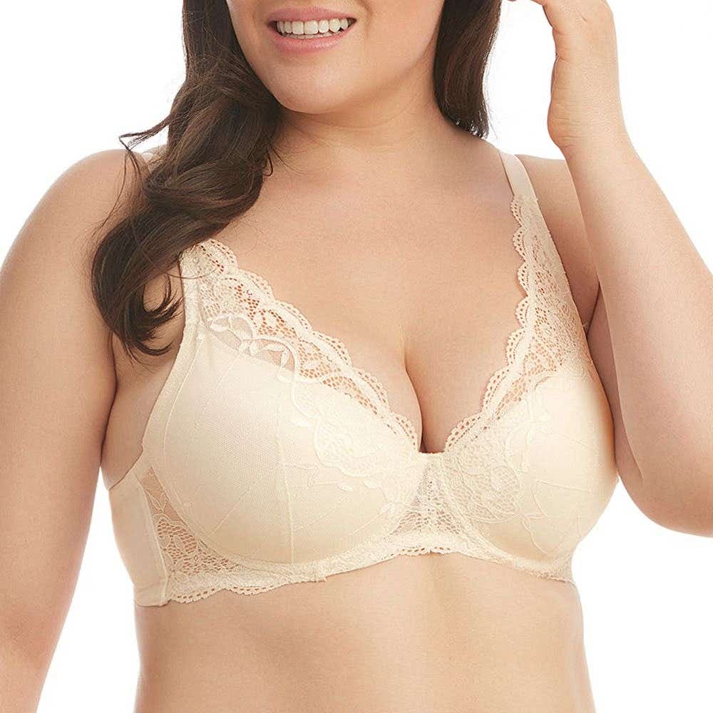 https://www.catalogoflores.cl/media/catalog/product/1/3/13122-97-1_xgvecd2jyzt6nu79_kqgs85xyaabcj7sm_f5anr1r5pgqksliv.jpg