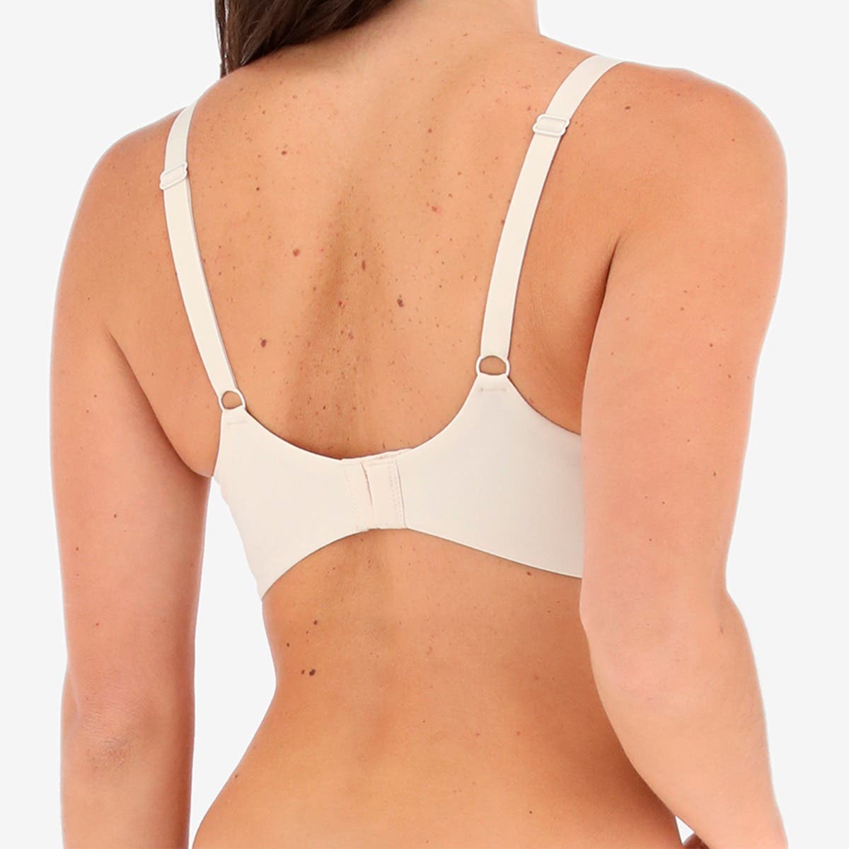 https://www.catalogoflores.cl/media/catalog/product/1/3/13122-97_2.jpg