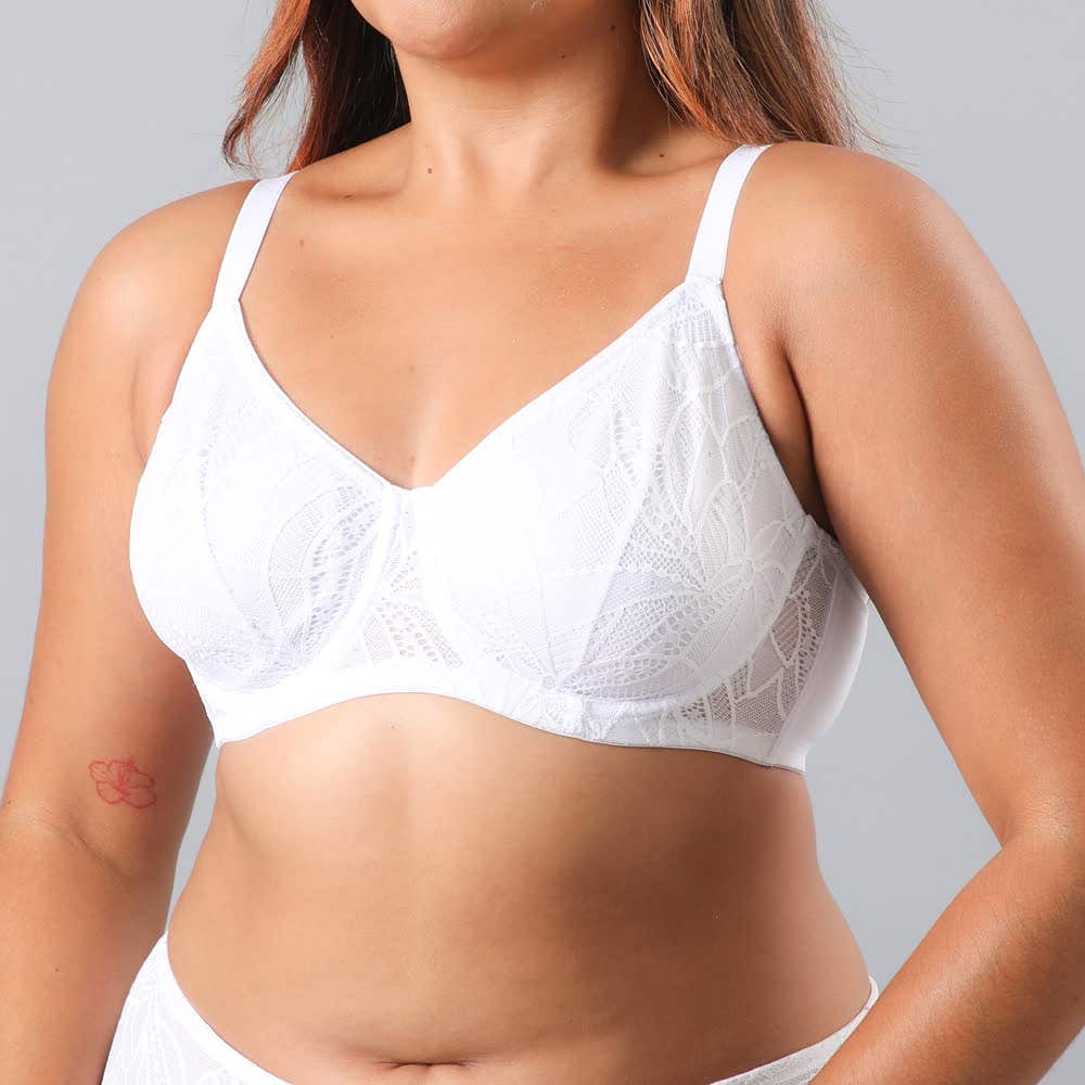 https://www.catalogoflores.cl/media/catalog/product/1/3/13481-1_2_gh5wl0yryfmot1l4.jpg