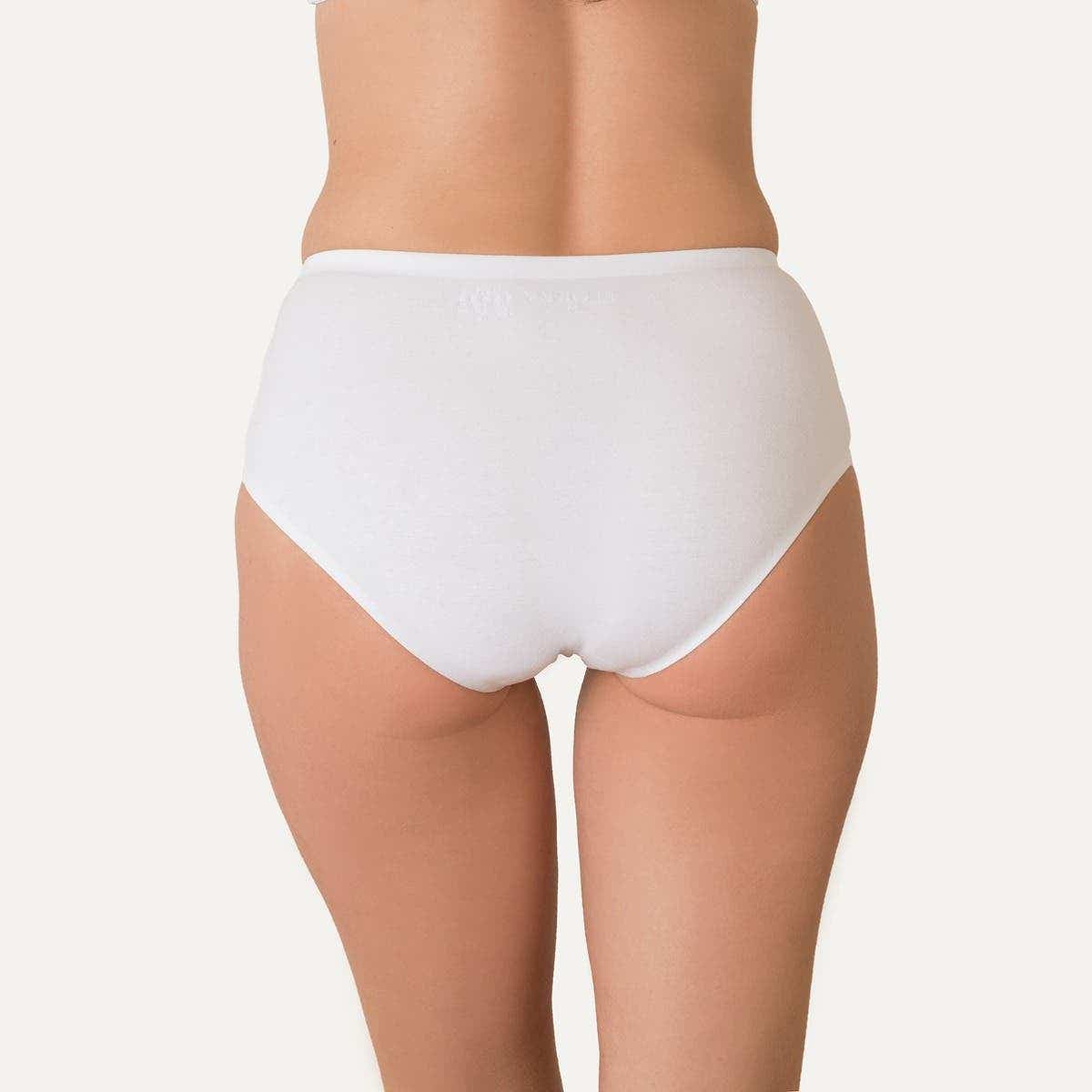 https://www.catalogoflores.cl/media/catalog/product/2/3/23468-24-0_2_y7fy6sixpftfcams.jpg