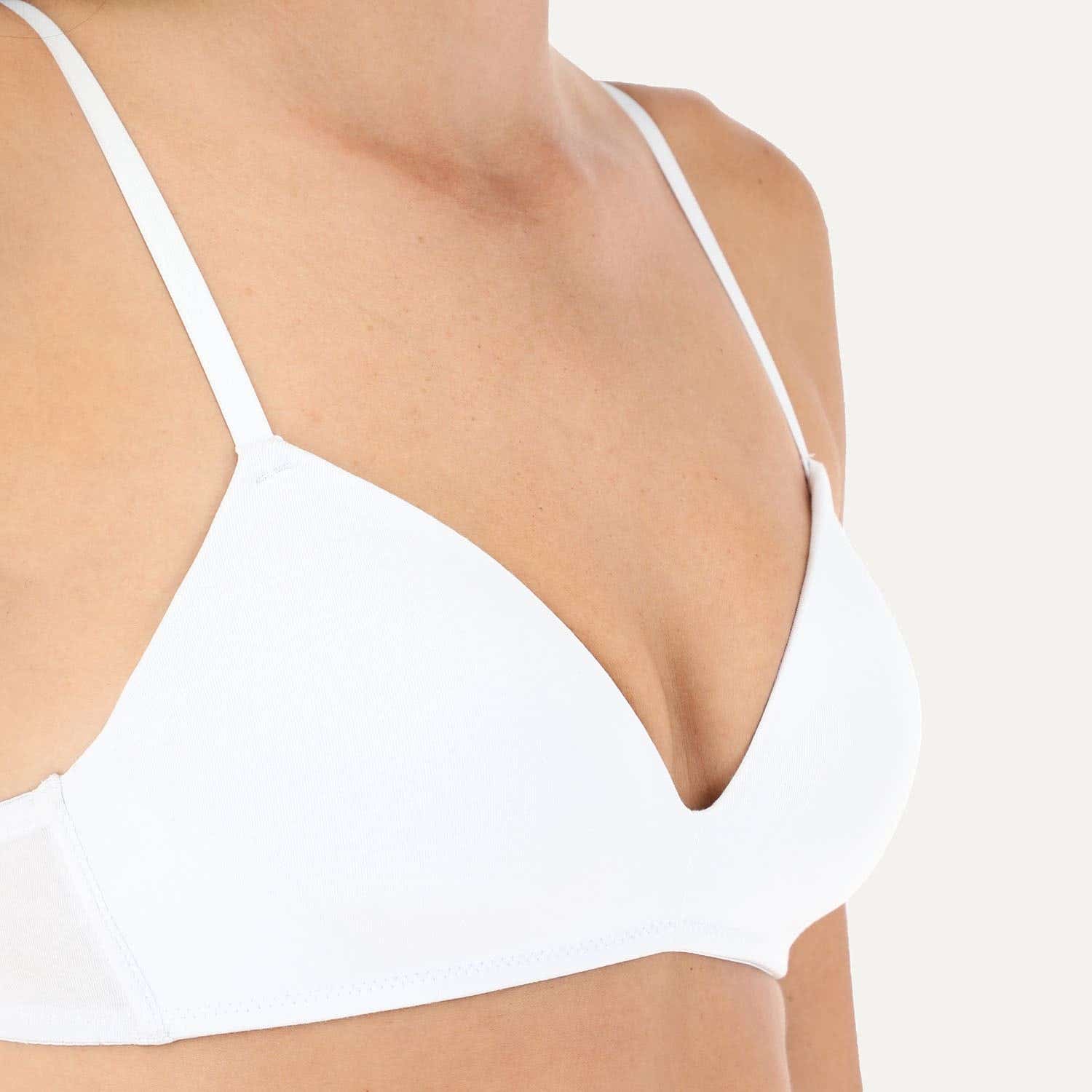 https://www.catalogoflores.cl/media/catalog/product/2/4/24113-1-4_cdapatwzvua2r1yk_w1sljy0hw8bvaby0_36ymzk4elorjtxln.jpg