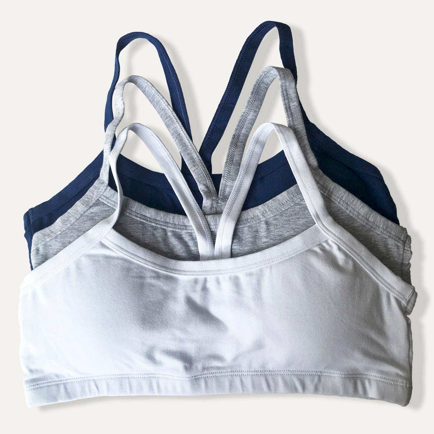 https://www.catalogoflores.cl/media/catalog/product/2/4/24120-24-1_m4scwfszzyd43wsb_xkeoghk8tzgghst1_b5ttfot46th0votb.jpg