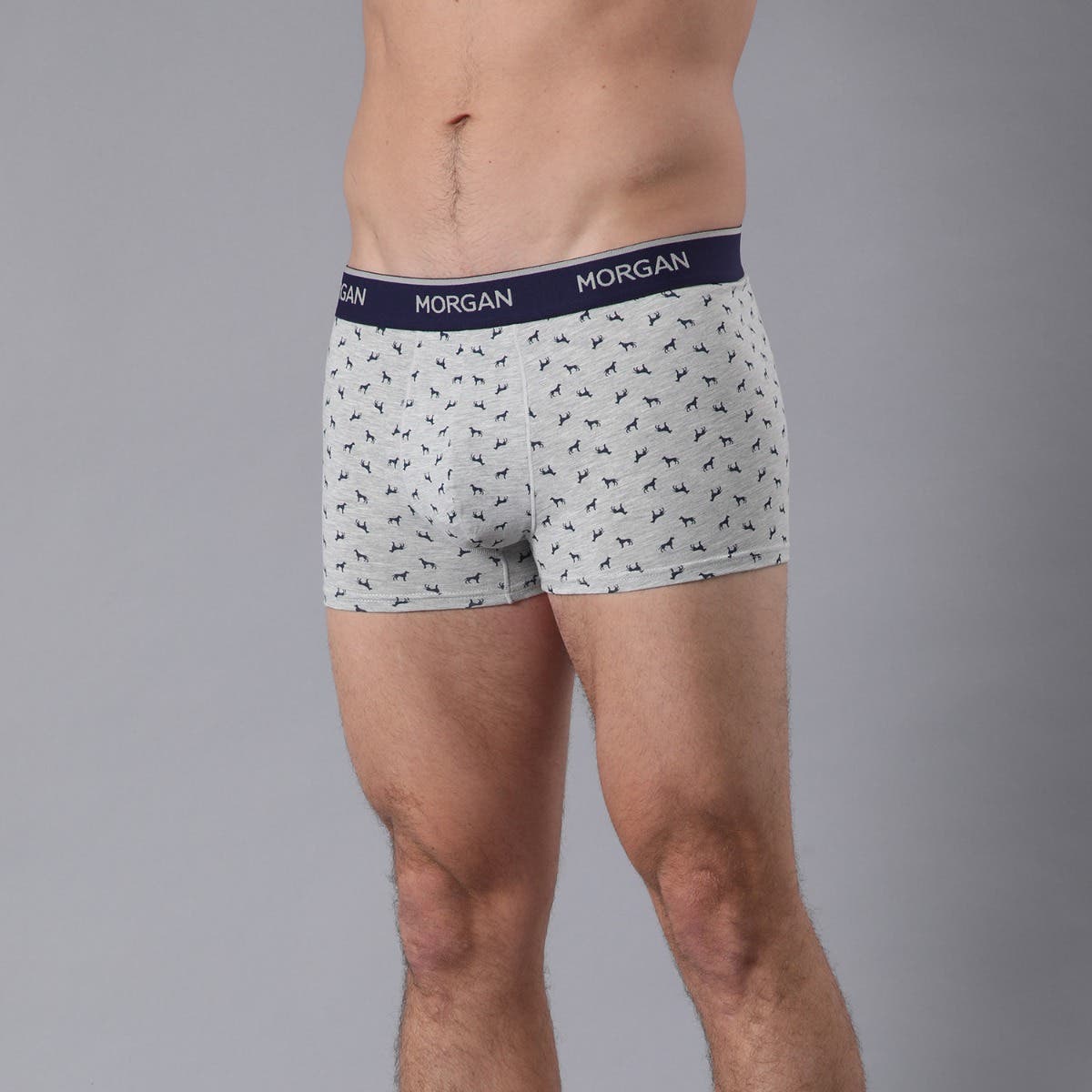 https://www.catalogoflores.cl/media/catalog/product/3/3/33652-18-5_5.jpg