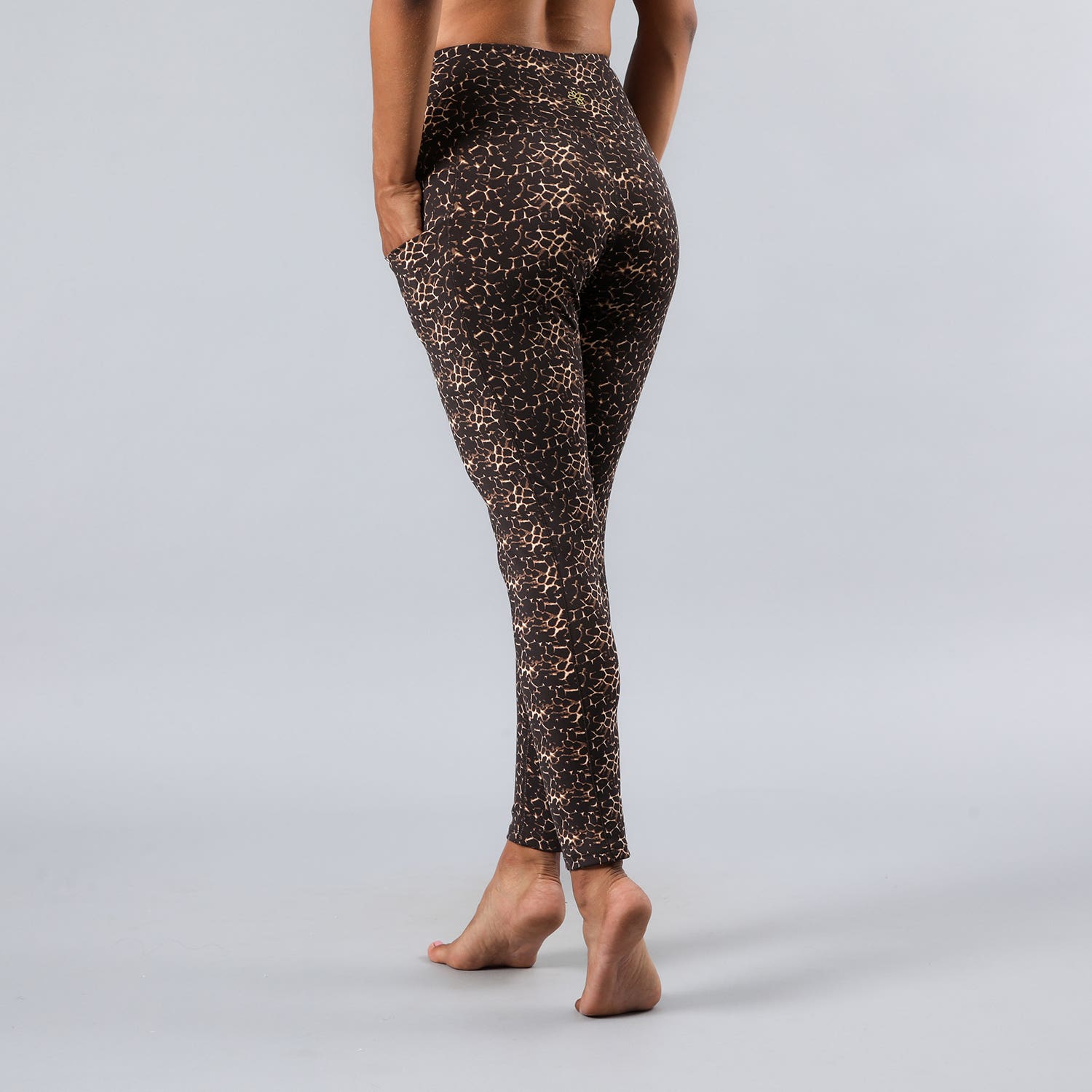 https://www.catalogoflores.cl/media/catalog/product/5/0/50730-155_3_n0k1yldhrt5cewrx.jpg