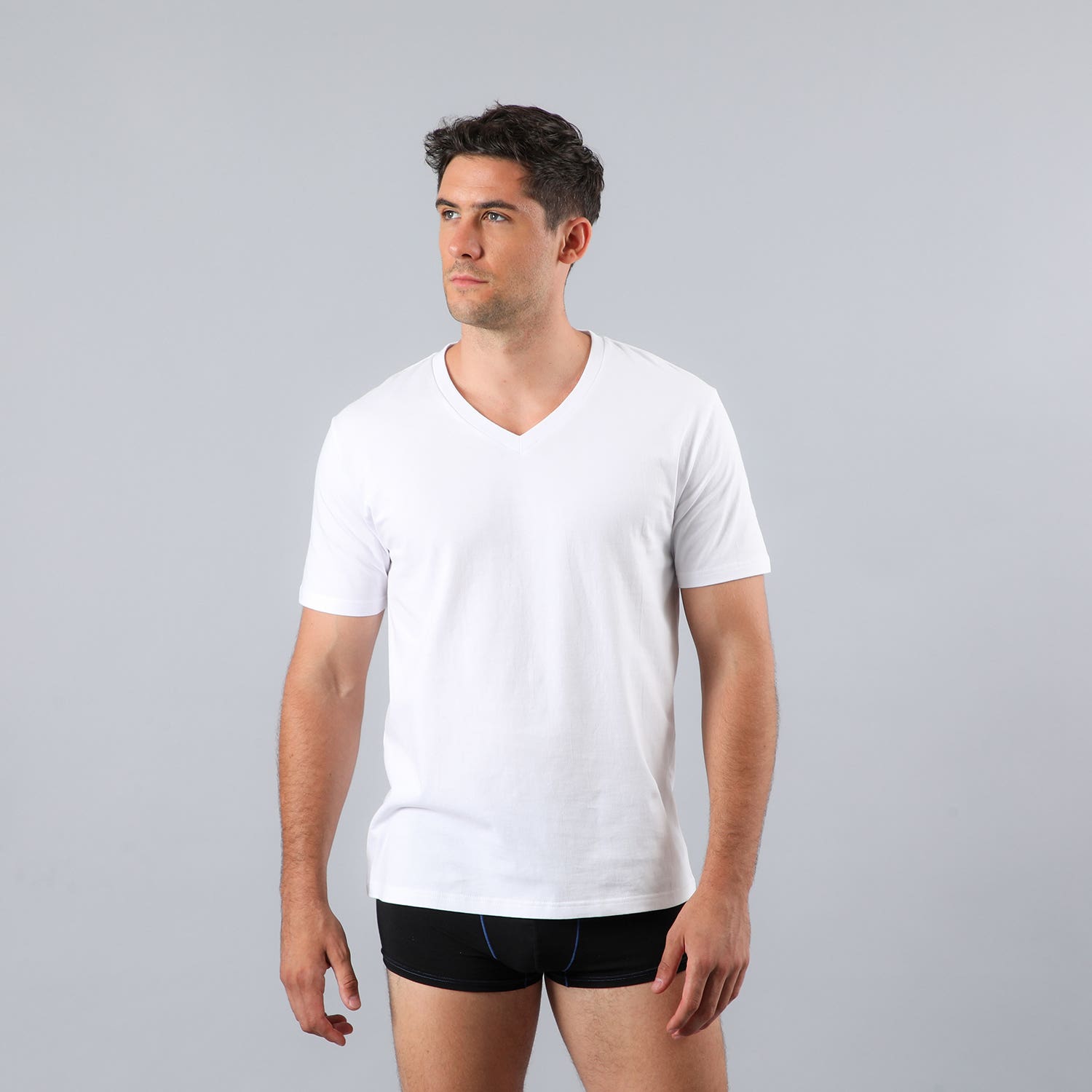 https://www.catalogoflores.cl/media/catalog/product/5/0/50752-1_1_arapyubtckgcjy0o.jpg